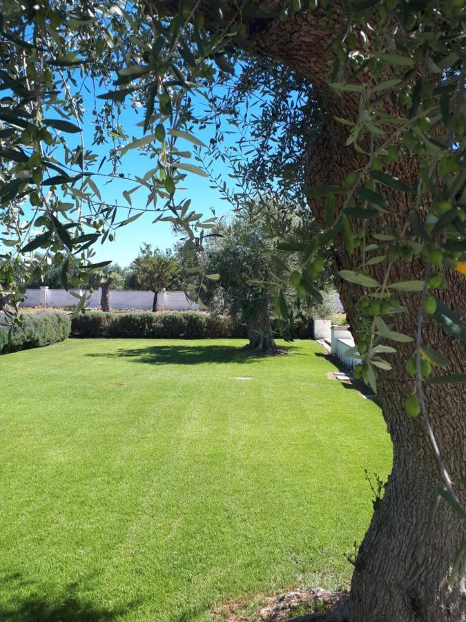 Masseria Bianca Di Puglia モノーポリ エクステリア 写真